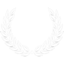 FFF China First Film Festival 2011