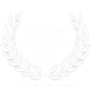 Stockholm I. Film Festival 2011